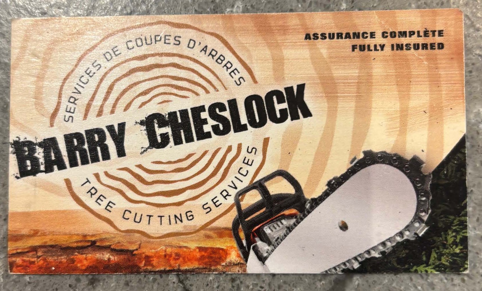 Barry Cheslock Business Card pg 1.jpg