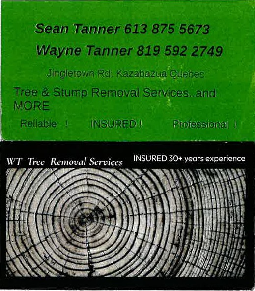 WT TREE REMOVAL SERVICE AND MORE