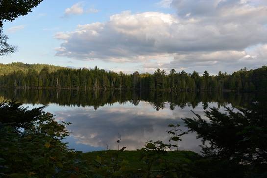 paysage.jpg